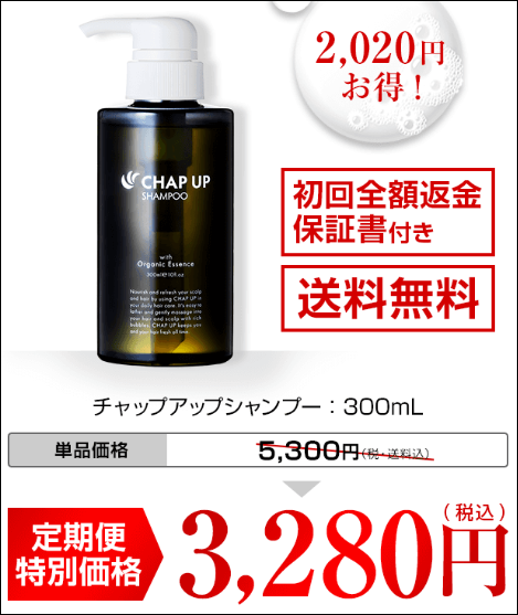 チャップアップ ヨドバシ